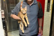 MK体育官网-博主发现猫逃家立刻去追，抓到猫后才发现自己没穿裤子…咪：这不是变态吗
